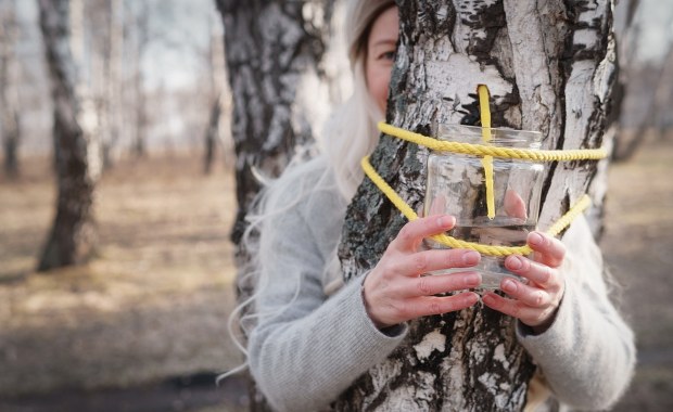 To najlepszy moment na zbiór oskoły. Ten wiosenny eliksir zdrowia wraca do łask