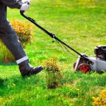 To najlepszy termin na ostatnie koszenie trawy. Nie przegap go dla dobra murawy