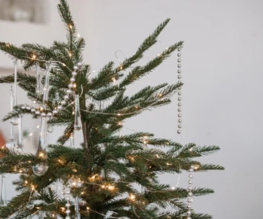 To najmodniejsza choinka tego roku. Nie wszystkim się spodoba