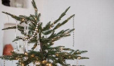 To najmodniejsza choinka tego roku. Nie wszystkim się spodoba