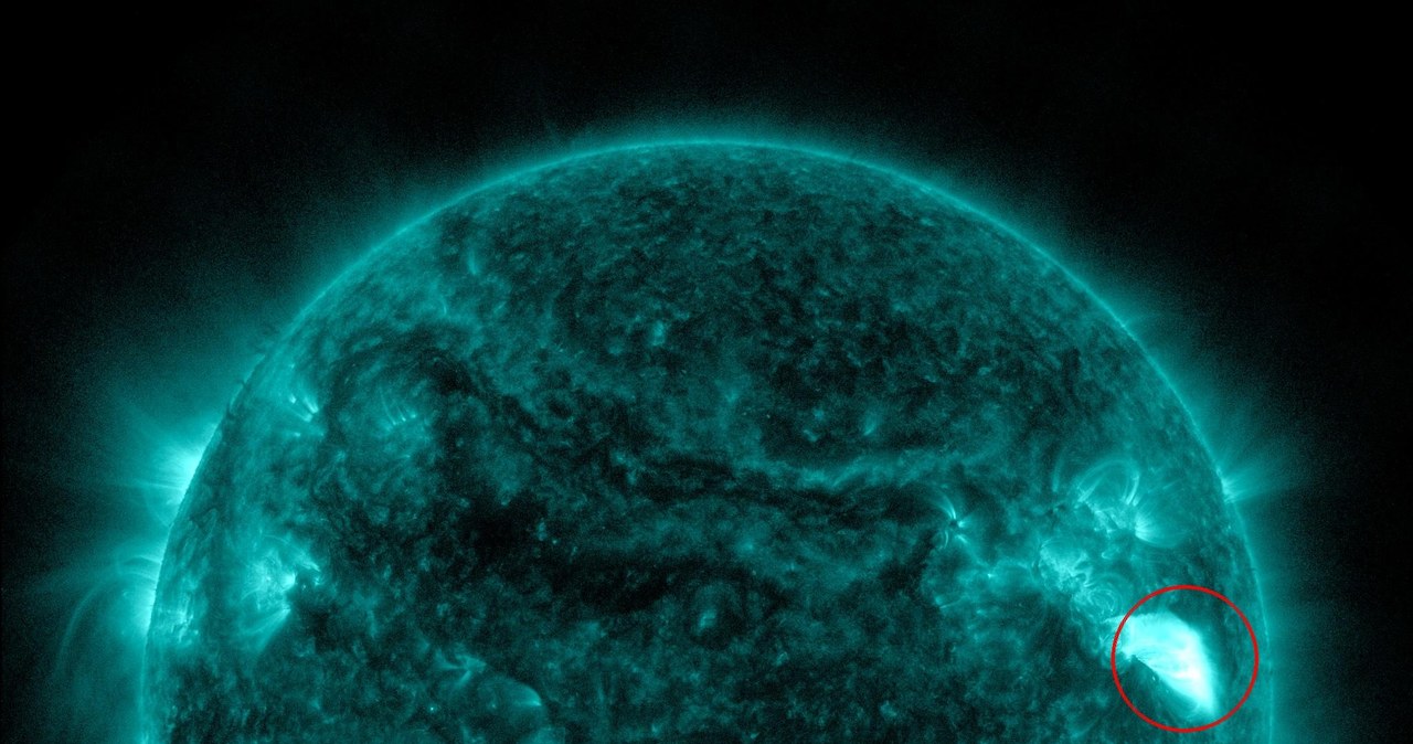 To najpotężniejszy wybuch na Słońcu od 6 lat. /NASA/JPL /materiały prasowe