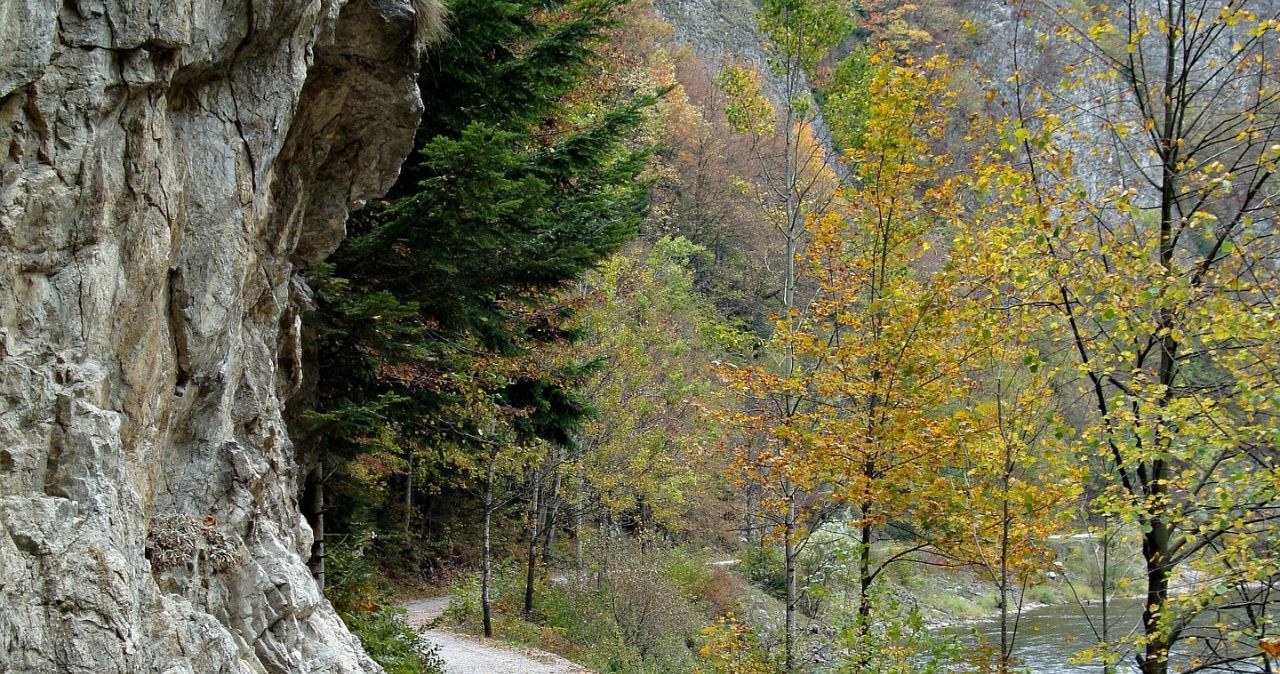 To najstarszy park narodowy w Polsce. Znajduje się na południu naszego kraju /Dariusz Staniszewski /Pixabay.com