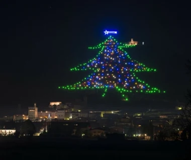 To największa choinka na świecie. Nie ma na niej ani jednej igły