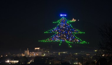 To największa choinka na świecie. Nie ma na niej ani jednej igły