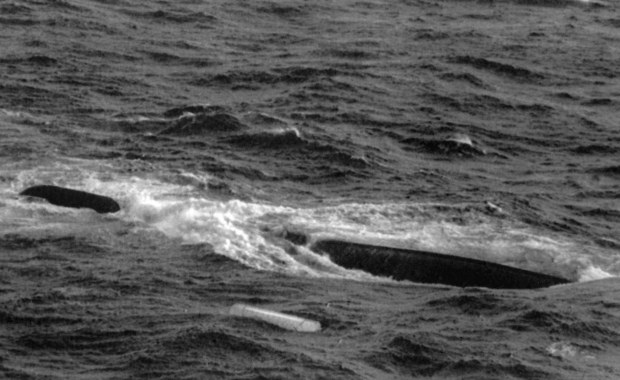 To największa katastrofa w historii polskiej żeglugi. Wrak "Jana Heweliusza" od 33 lat leży na dnie Bałtyku 