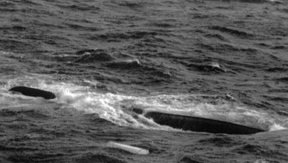 To największa katastrofa w historii polskiej żeglugi. Wrak "Jana Heweliusza" od 33 lat leży na dnie Bałtyku 