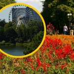 To największy miejski park w Polsce. Aż trudno uwierzyć, że powstał na śląskich hałdach
