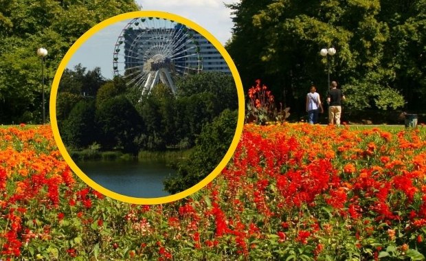 To największy miejski park w Polsce. Aż trudno uwierzyć, że powstał na śląskich hałdach