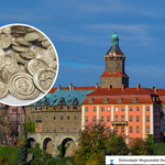 To największy od 100 lat skarb znaleziony w Polsce. Wykopał go pies Kajtuś