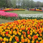 To największy ogród botaniczny w Polsce. Zajmuje ponad 67 ha