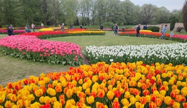 To największy ogród botaniczny w Polsce. Zajmuje ponad 67 ha
