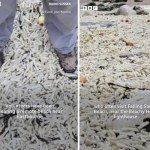 To nie AI. Angielska plaża pod warstwą frytek i cebuli