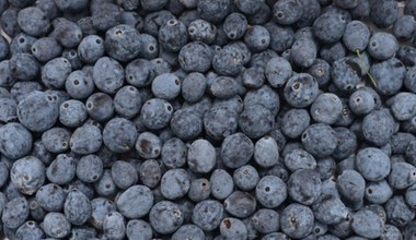 To nie aronia, ani jagoda. Owoce cenione od setek lat za wspomaganie serca, idealne na dżem lub herbatę
