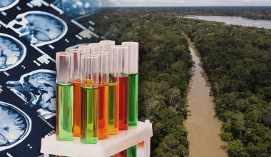 To nie był stracony rok. 7 optymistycznych historii naukowych z 2025