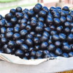 To nie jest ani śliwka, ani oliwka. Ostry, ale słodki superowoc na cukrzycę, dobre trawienie i odporność