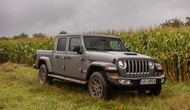 To nie jest pick-up do pracy, a i w teren średni, ale odkryłem jego zalety