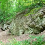 natura 2000 "To nie jest zwykła skała". Wandal zdewastował lokalny leśny skarb
