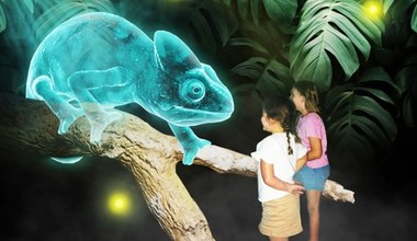 To nie jest zwykłe zoo. Wszystkie zwierzęta są tam hologramami