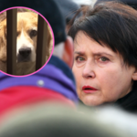 To nie koniec cyrku! Elżbieta Jaworowicz w "Sprawie dla reportera" przeprowadziła wywiad z... psem!