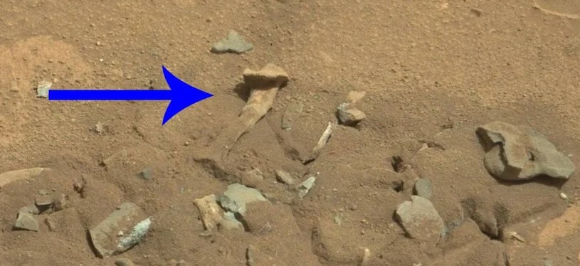 To nie kość, tylko skała /NASA