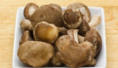 To nie opieńka i nie maślak. Ten nietypowy grzyb wspiera odporność i dodaje sił witalnych, dba o zdrowie kości  