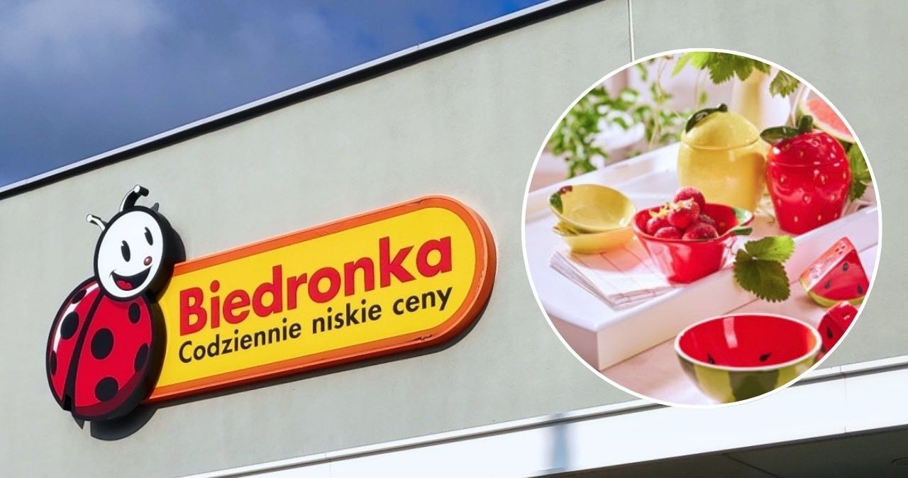 To nie porcelana, ale wygląda równie dobrze! Naczynia dolomitowe hitem z Biedronki /adobestock/Biedronka /INTERIA.PL