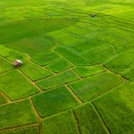 To nie są tylko prognozy. Eksperci biją na alarm: czeka nas rewolucja na talerzach