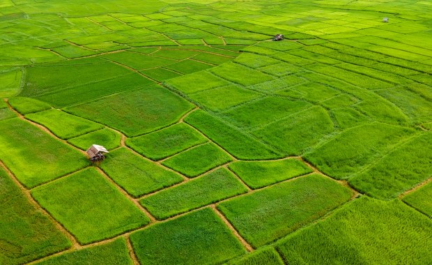 To nie są tylko prognozy. Eksperci biją na alarm: czeka nas rewolucja na talerzach