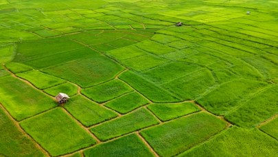 To nie są tylko prognozy. Eksperci biją na alarm: czeka nas rewolucja na talerzach
