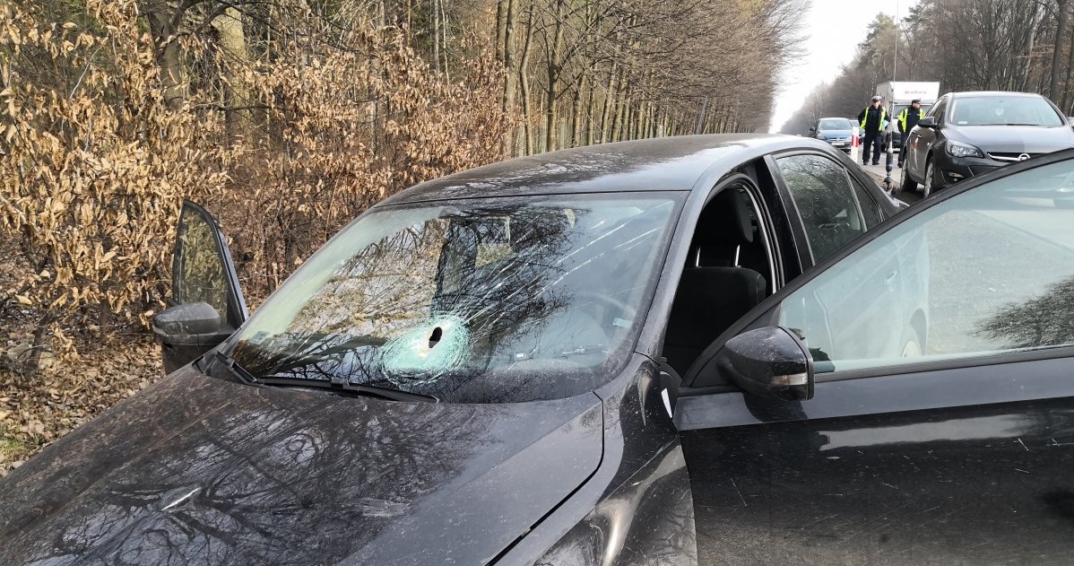 To nie ślad po kuli. To metal leżał na jezdni /Policja