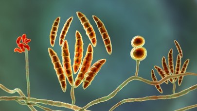 To nie tylko pył i sól. Naukowcy odkryli 