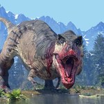 To pierwsze takie naczynia krwionośne. Są z tyranozaura