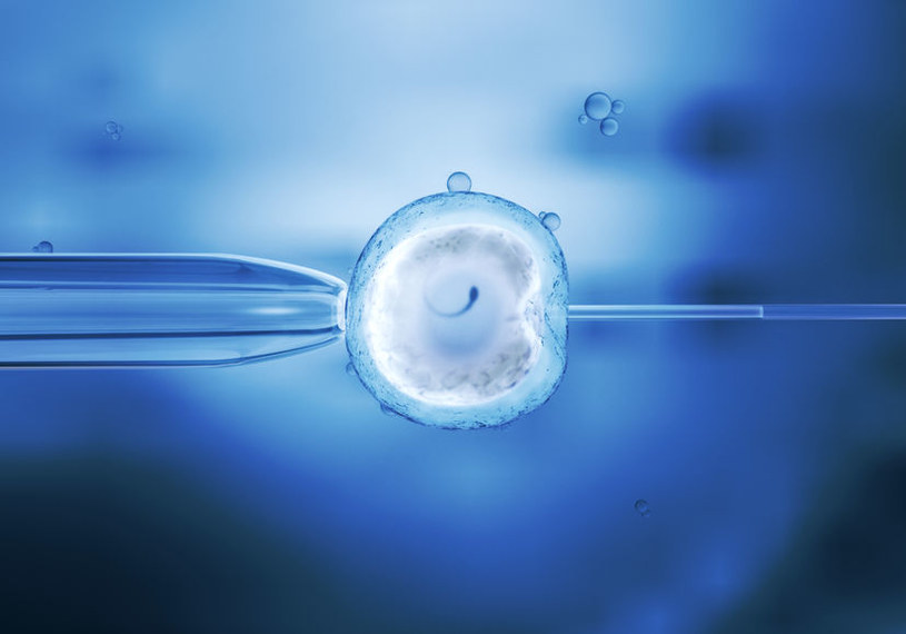 To pierwsze takie zapłodnienie in vitro - z jajników zamrożonych 15 lat temu /123RF/PICSEL