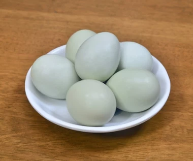 To prawdziwy superfood - mają mniej cholesterolu i ogrom witamin. Jaja od tej kury są najzdrowsze