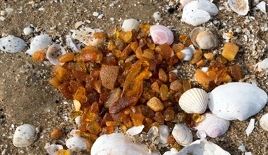 To raj dla zbieraczy bursztynów. Plaża, która przyciąga miłośników złota Bałtyku 