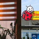 To rusza jutro. Biedronka sprzedaje rolety za grosze