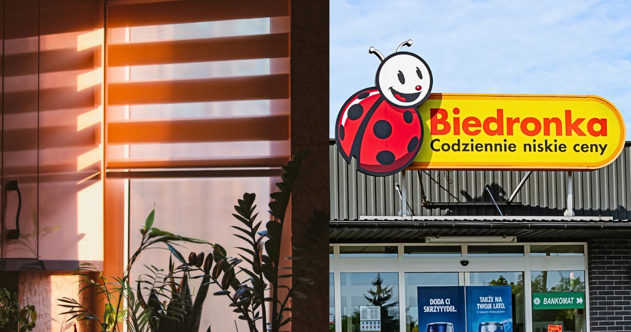 To rusza jutro. Biedronka sprzedaje te rolety za grosze /Canva Pro /INTERIA.PL