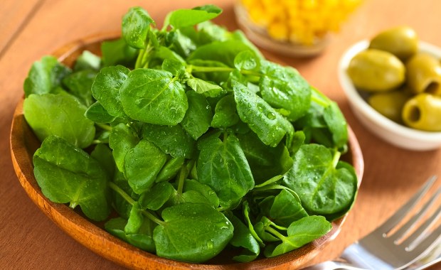 To warzywo jest zdrowsze niż szpinak, mleko i pomarańcze razem wzięte! Sprawdź, co wybrali naukowcy