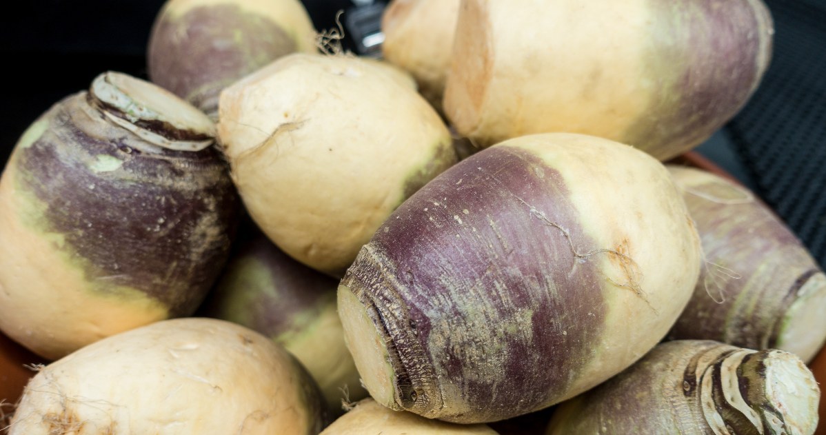 To warzywo lata temu było stałym elementem dań. Dzisiaj odeszło w zapomnienie, choć jest bardo zdrowe /123RF/PICSEL