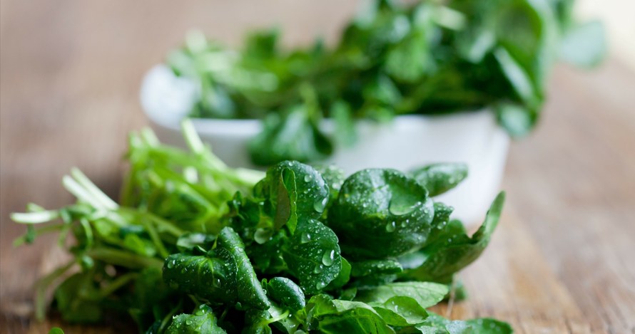 To warzywo liściaste powszechnie uznawane jest za najzdrowsze na świecie. Jakie właściwości posiada? /Pixel