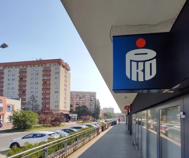 "To wynik rekordowy". Tak zarabia największy polski bank 