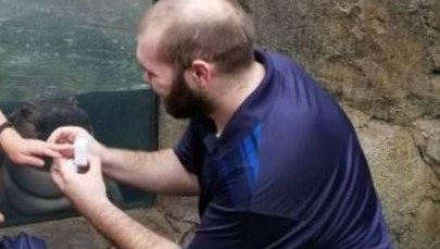 To zdjęcie miało być pamiątką romantycznych oświadczyn. Jego bohaterem jest… hipcio