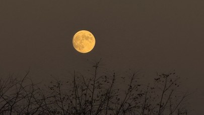 To zjawisko zwiastowało 