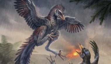 To znalezisko wywraca naukę do góry nogi. Pierwsze ptaki nie latały