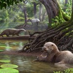 szczątki To zwierzę robi duże wrażenie. Chińska borsuko-wydra o wielkości wilka