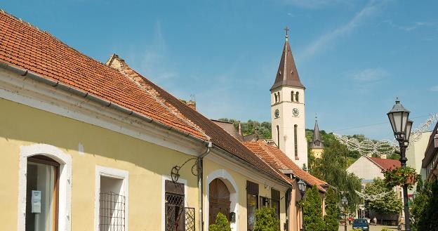 Tokaj - to miasteczko zna cały winiarski świat /&copy;123RF/PICSEL