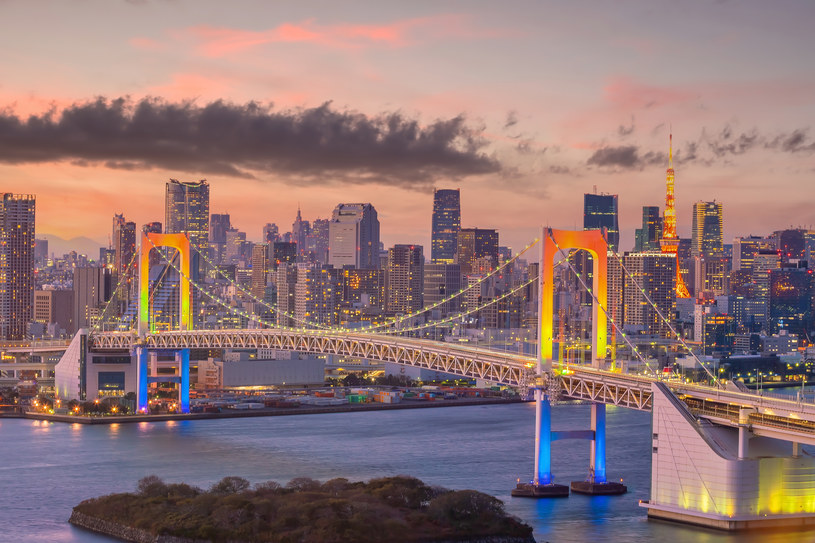Tokio. Największe miasto na świecie ma 37 mln mieszkańców. /123RF/PICSEL