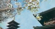 Tokio, świątynia Asakusa Kannon /Encyklopedia Internautica
