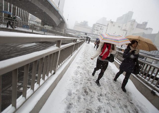 Tokio walczy ze śniegiem. Zima sparaliżowała miasto /CHRISTOPHER JUE /PAP/EPA
