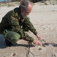 Toksyczna substancja na plaży w Czołpinie. Plaża zamknięta jest do piątku